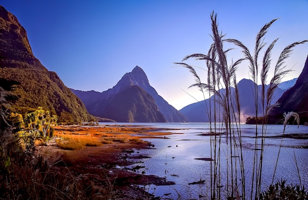 Milford Sound all'alba