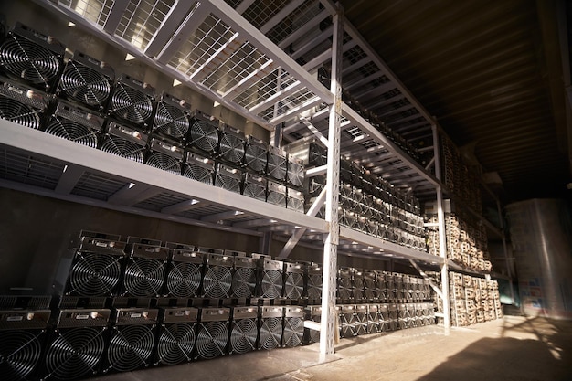 Minatori Bitcoin ASIC in magazzino Apparecchiature minerarie ASIC su scaffalature per il mining di criptovalute in container d'acciaio Tecnologia Blockchain specifica per l'applicazione di unità a circuito integrato stoccaggio