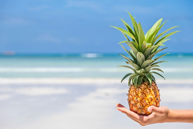 Mini ananas fresco sulla mano della donna alla spiaggia tropicale e al fondo del mare. Concetto di estate tropicale