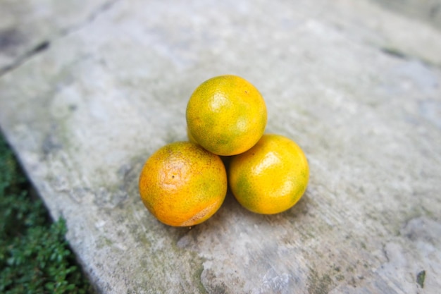 mini frutta d'arancia fresca nel giardino del cortile in estate