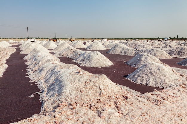 Miniera di sale nel lago Sambhar, Sambhar, Rajasthan, India