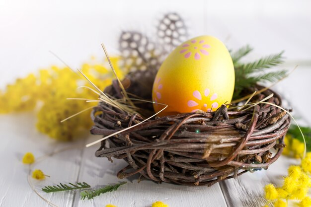 Minima composizione pasquale. Uovo di gallina decorativo giallo nel nido. Mimosa fiori e piume. Sul tavolo bianco