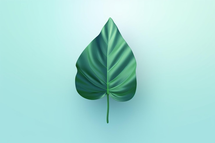 Photo minimalist green leaf