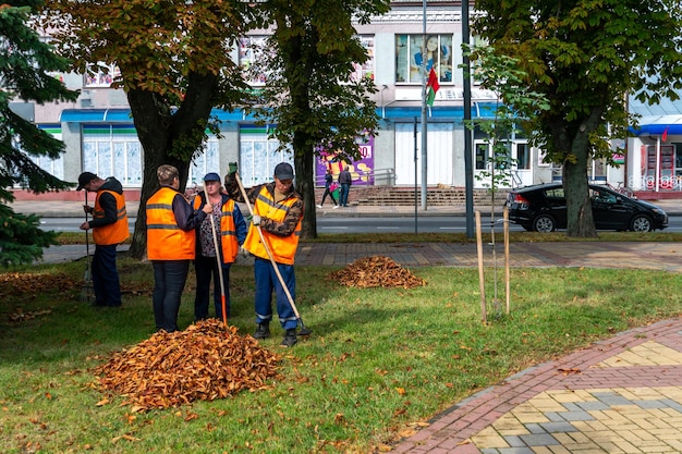 Minsk Bielorussia 20 settembre 2022 Pulizia di marciapiedi e prati dalle foglie cadute in autunno I lavoratori della campagna di raccolta puliscono le strade della città dal fogliame prima dell'inverno