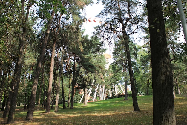 Minsk Bielorussia Ruota panoramica di Gorky Park