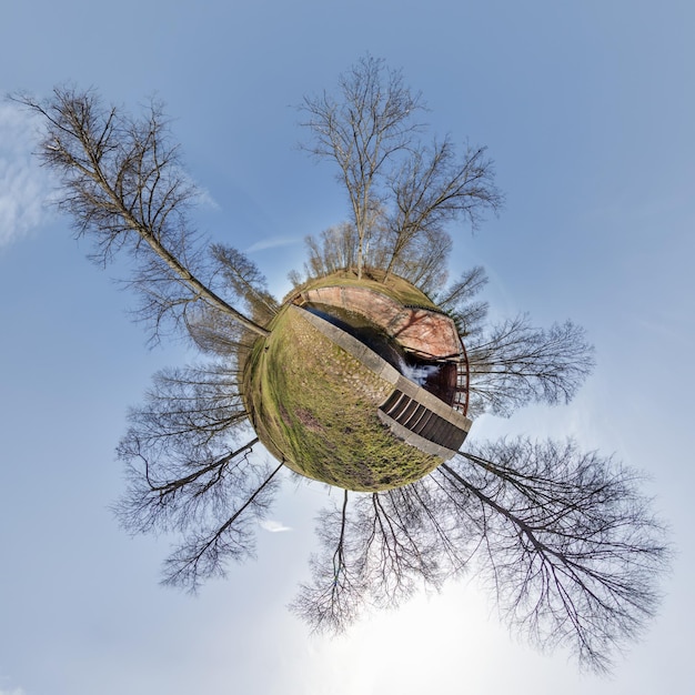 Minuscola trasformazione planetaria di panorama sferico a 360 gradi Vista aerea astratta sferica con alberi nella foresta con rami goffi nel cielo blu Curvatura dello spazio
