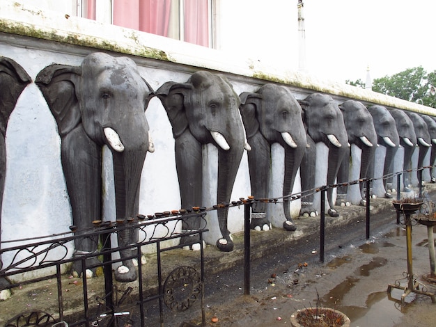 Mirisaveti Stupa, Anuradhapura, Sri Lanka