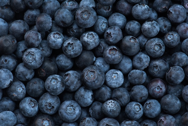 Mirtilli di disposizione per fondo della frutta