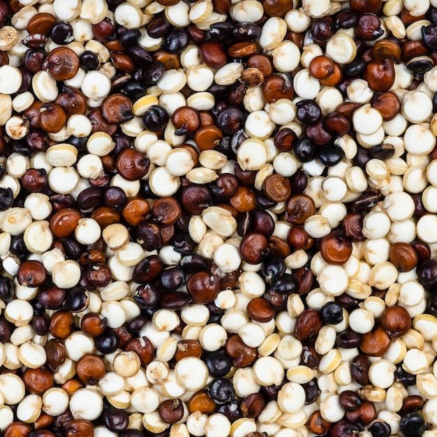 Miscela di chicchi di quinoa da vicino