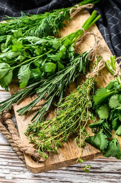 Miscela di erbe fresche coriandolo, rosmarino, timo, aneto, prezzemolo. Sfondo bianco.