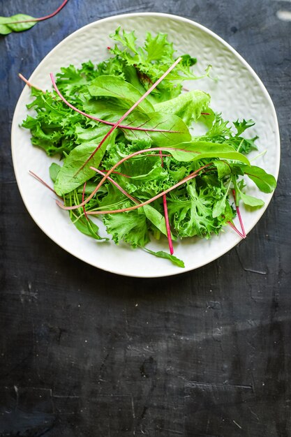 Miscela di foglie di insalata verde