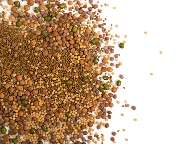 Miscela di semi commestibili con ravanello secco, senape, lenticchie, semi di erba medica e fagioli mung isolati su sfondo bianco. Miscela di semi per una sana alimentazione