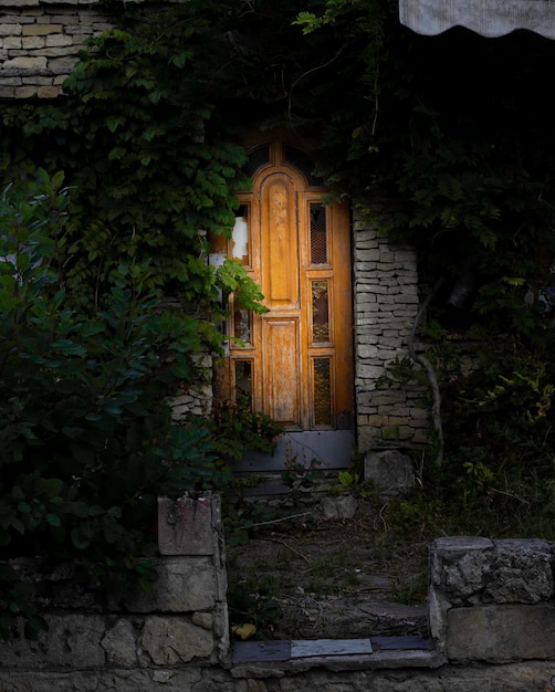 misteriosa porta di legno tra edera, edera verde