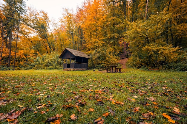 Misterioso paesaggio autunnale della natura di caduta della cabina. Foglie colorate con foresta autunnale, spaventosa capanna di legno