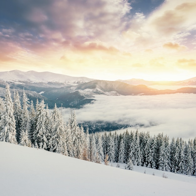 Misterioso paesaggio invernale maestose montagne