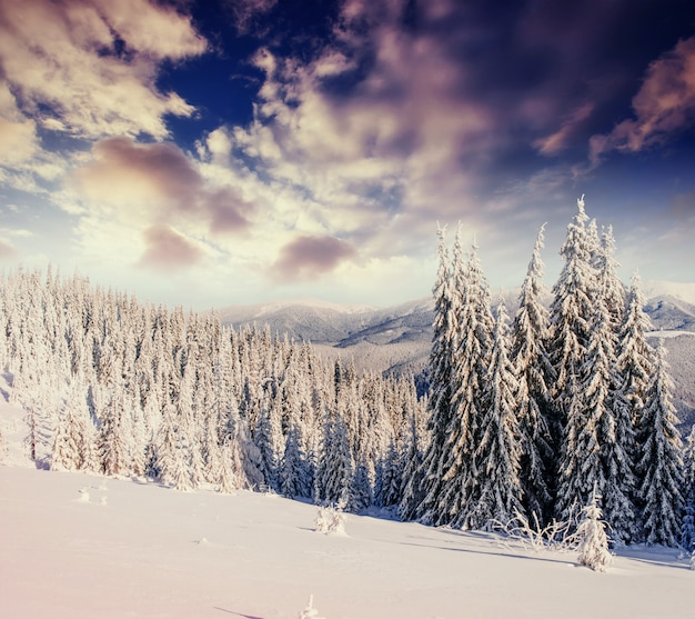 Misterioso paesaggio invernale maestose montagne