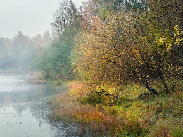 Mistico paesaggio autunnale mattina con nebbia sul lago