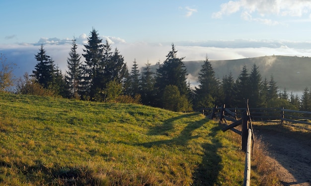 Misty alba in autunno montagna dei Carpazi, Ucraina.