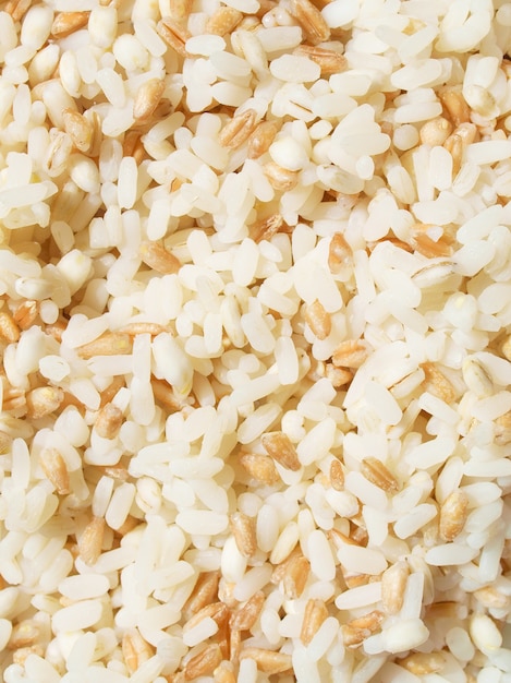 Mix di cereali perlati tra cui riso farro orzo in grani