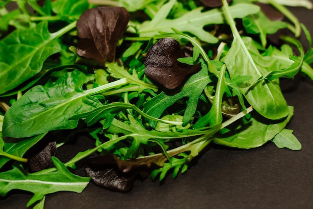 Mix di foglie di lattuga di diversi tipi sul tavolo nero