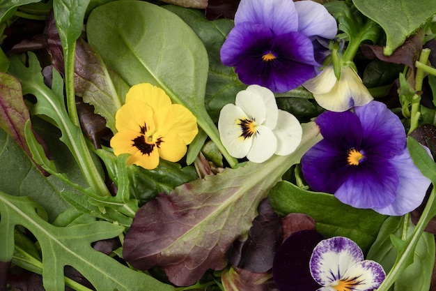 Mix fresco di insalate con fiori commestibili Vista dall'alto