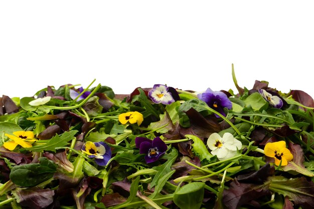 Mix fresco di insalate con fiori commestibili Vista dall'alto