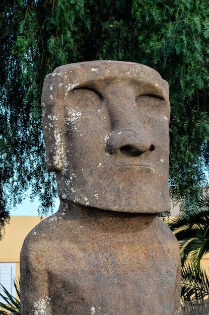 Moai in piedi dall'Isola di Pasqua