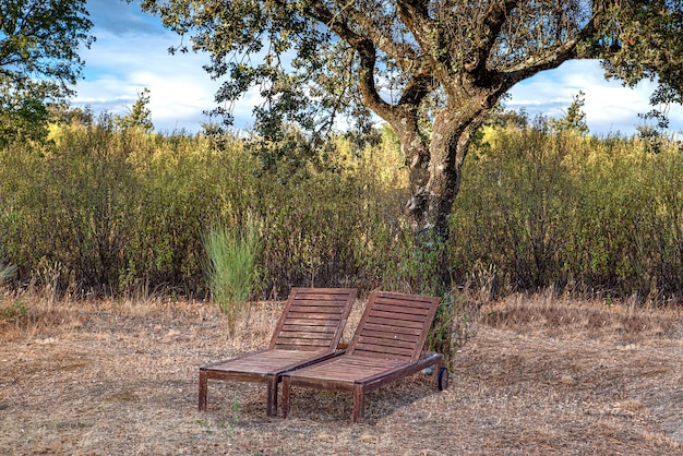 Mobili da esterno in campagna