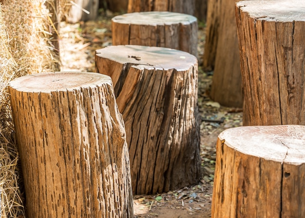 Mobili da giardino naturali realizzati con tronchi di legno