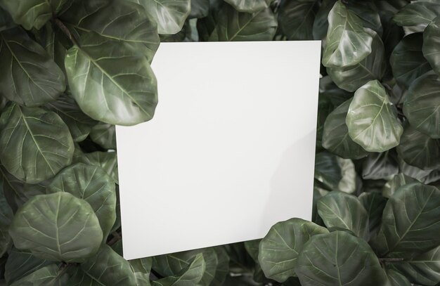 Mock up white paper su sfondo foglia verde tropicale., modello 3d e illustrazione.