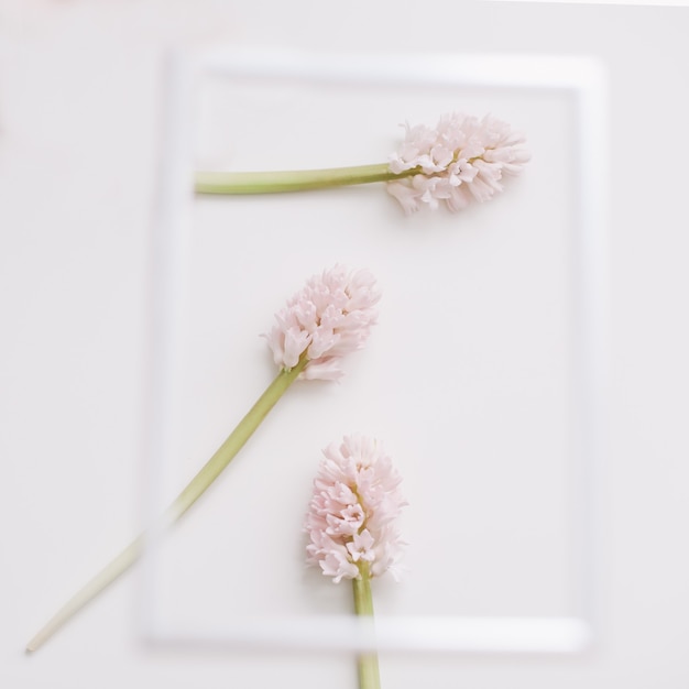 Mockup con fiori rosa e cornice per foto vuota