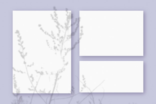 Mockup con ombre di piante sovrapposte a 3 fogli orizzontali e verticali di carta bianca strutturata su uno sfondo di tavolo viola.