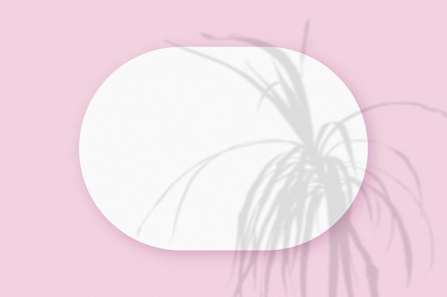 Mockup con ombre di piante sovrapposte a un foglio ovale di carta bianca strutturata su uno sfondo rosa da tavola. Orientamento orizzontale.