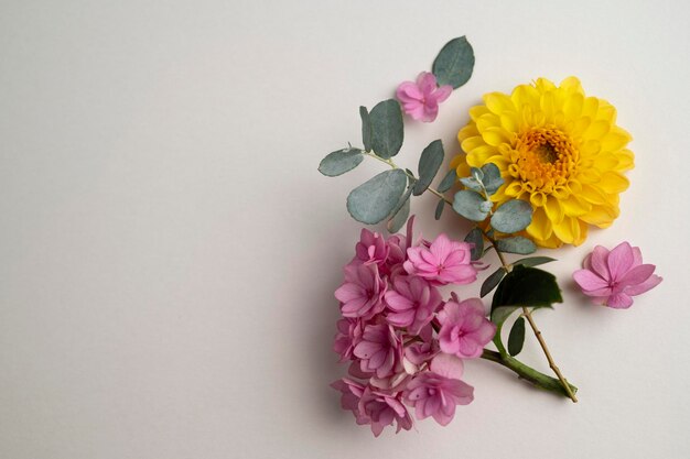 Mockup di biglietto di auguri con composizione floreale Fiori rosa e gialli con spazio per la copia Dalie ed eucalipto di ortensie