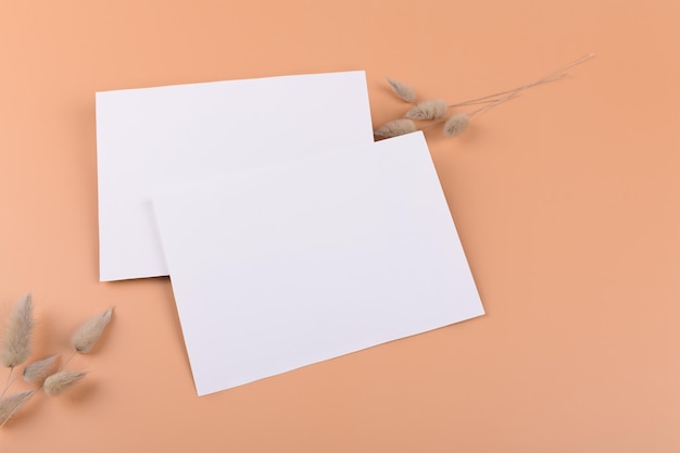 Mockup di carta Boho di due inviti di carta 5x7 bianchi vuoti con pianta secca su sfondo nudo beige o terracotta