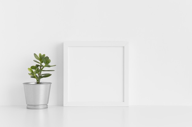 Mockup di cornice quadrata bianca con una crassula in una pentola su un tavolo bianco