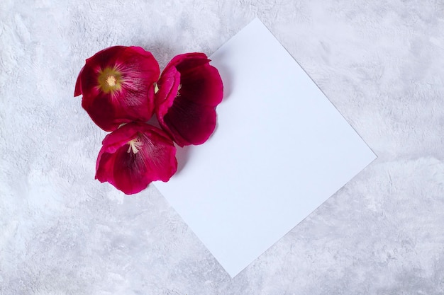 Mockup di invito o biglietto di auguri con carta bianca vuota e fiori malvarosa