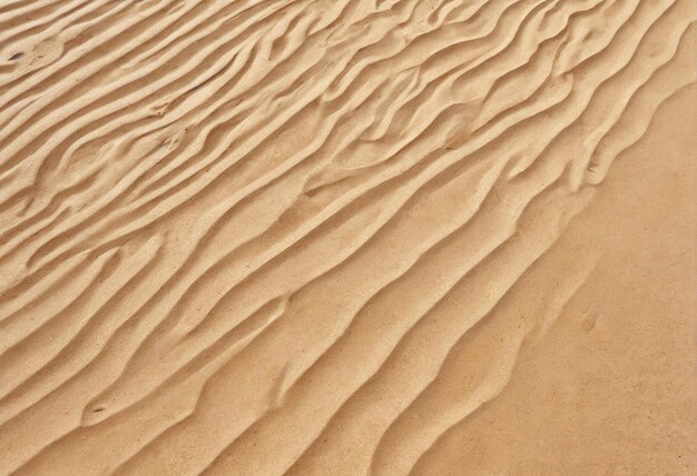 mockup di spiaggia sullo sfondo una duna di sabbia nel deserto del Sahara