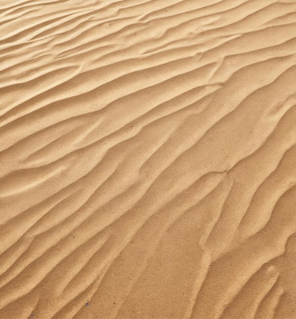 mockup di spiaggia sullo sfondo una duna di sabbia nel deserto del Sahara