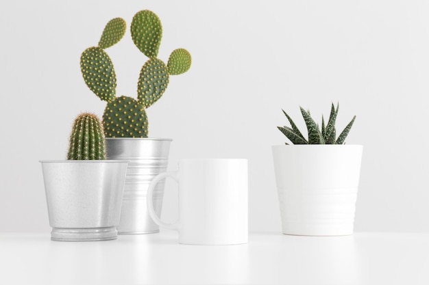 Mockup di tazza con vari tipi di cactus e una pianta succulenta su un tavolo bianco