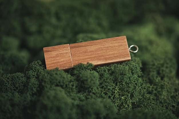 Mockup od pendrive in legno sul muschio