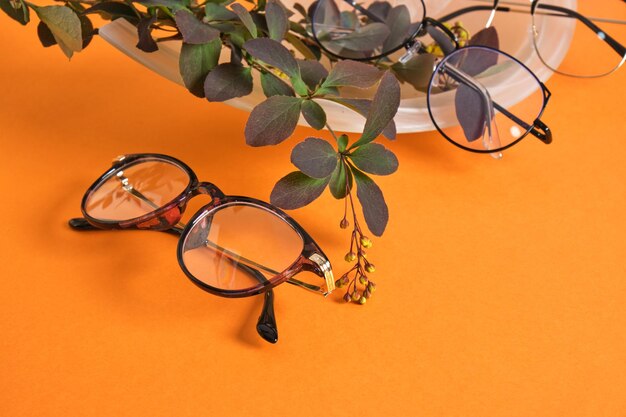 Moda occhiali e ramo di piante su sfondo arancione