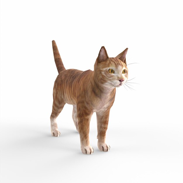 Modellazione 3d del gatto Scottish fold