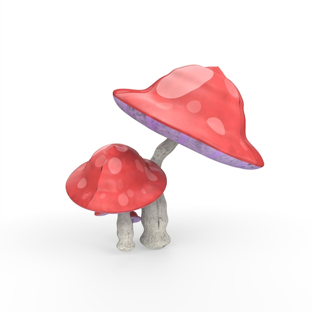 modellazione 3d di funghi