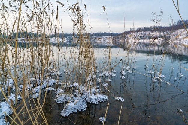 Modelli di ghiaccio ghiacciato d'acqua nei cespugli di canne sulla riva del bacino idrico