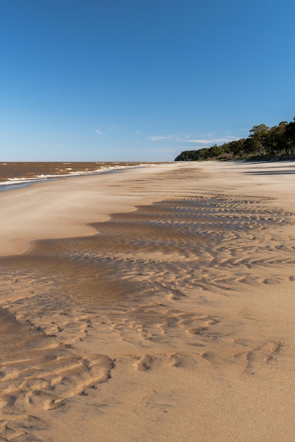 Modelli formati dall'acqua sulla sabbia della spiaggia con gli alberi sugli anfratti della costa