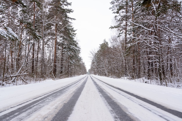 Modelli sull'autostrada invernale sotto forma di quattro linee rette. Strada innevata sullo sfondo della foresta innevata. Paesaggio invernale.