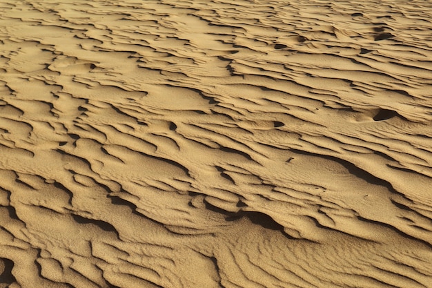 Modello artistico dell&#39;ondulazione della sabbia del deserto di Huacachina nella regione di Ica, Perù, Sudamerica