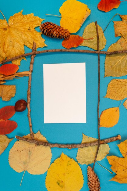 Modello autunnale con foglie gialle e rosse. Pigne e un foglio di carta bianco per l'iscrizione.