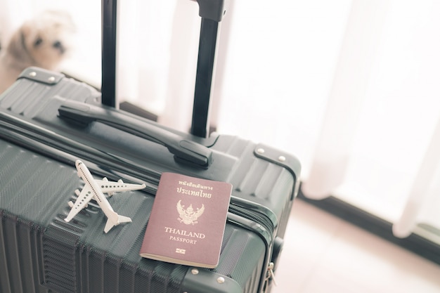 Modello bianco dell'aeroplano e passaporto tailandese su bagagli neri contro il cane graziosamente vago per il concetto di viaggio e di viaggio